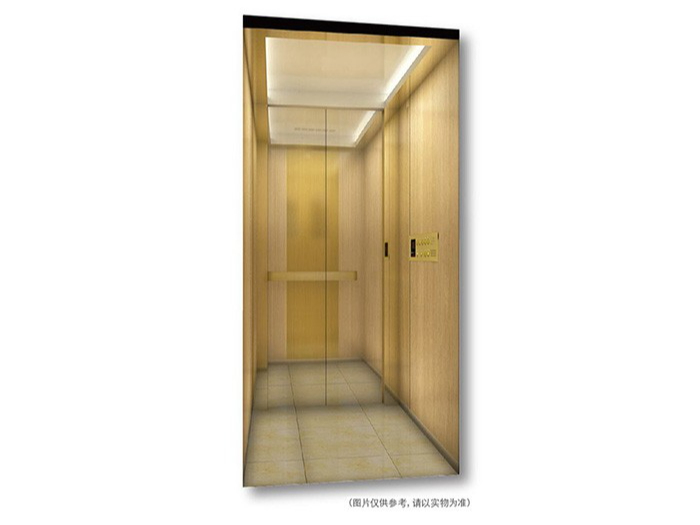 VGE别墅家用电梯 VGE别墅家用电梯